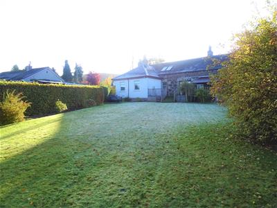 Picture 20
